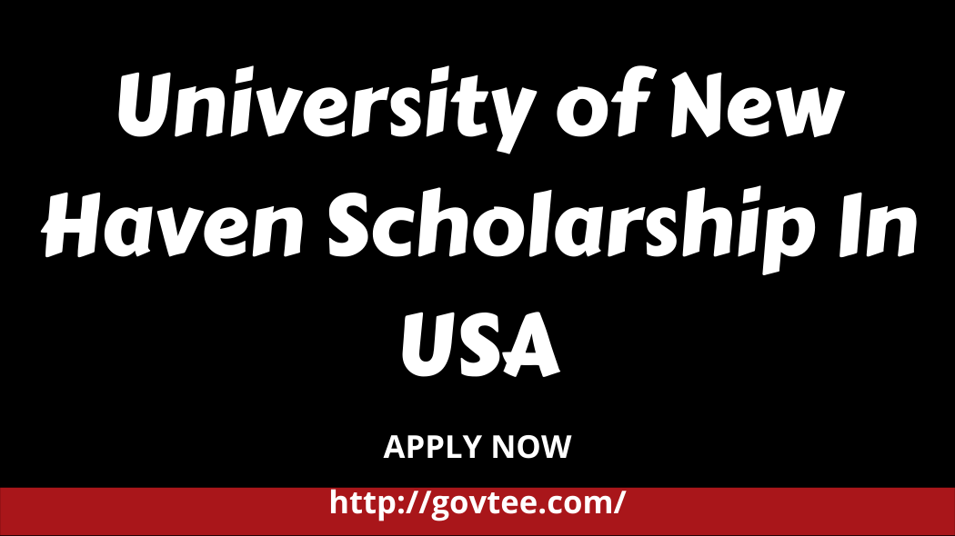 University of New Haven Scholarship In USA