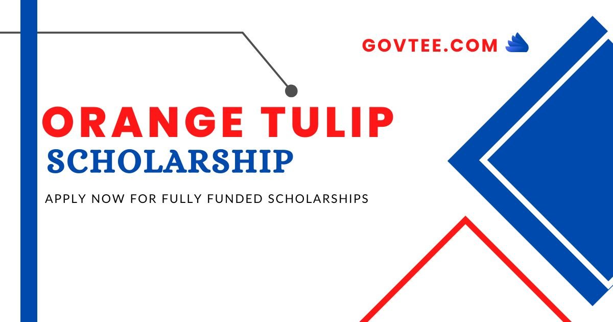 Orange Tulip Scholarship 2023| Apply Now