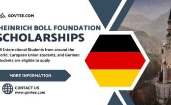 Heinrich Boll Foundation Scholarships