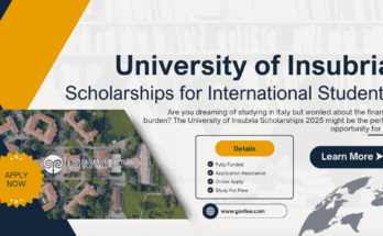 University of Insubria campus, scholarship application process, international students in Italy