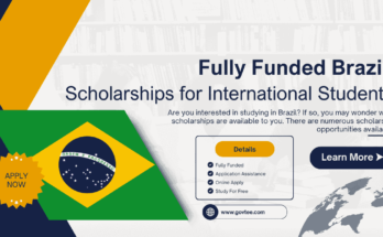 Scholarships in Brazil